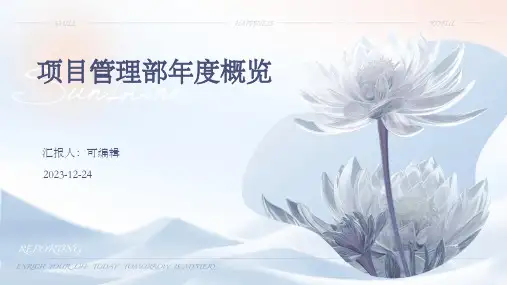 项目管理部年度概览：项目成功率、进度把控与团队协作提升