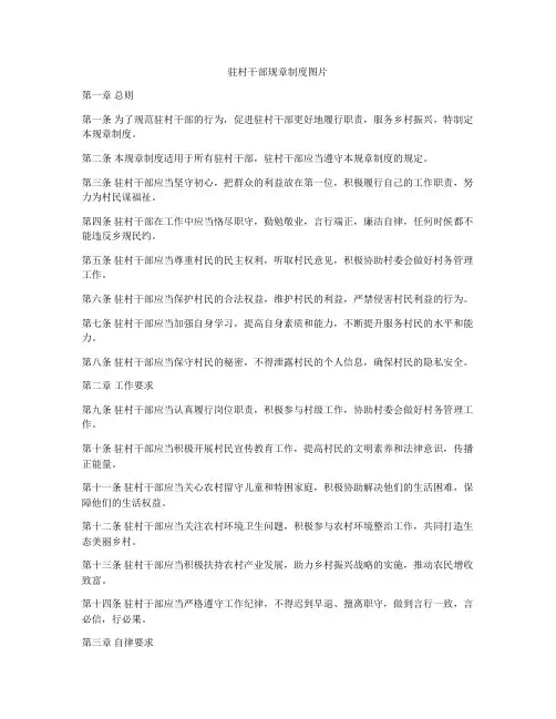 驻村干部规章制度图片