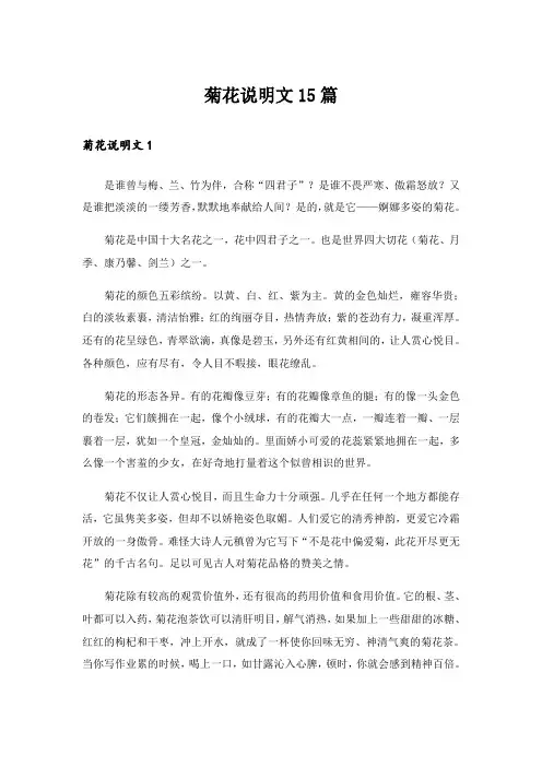 菊花说明文15篇_5