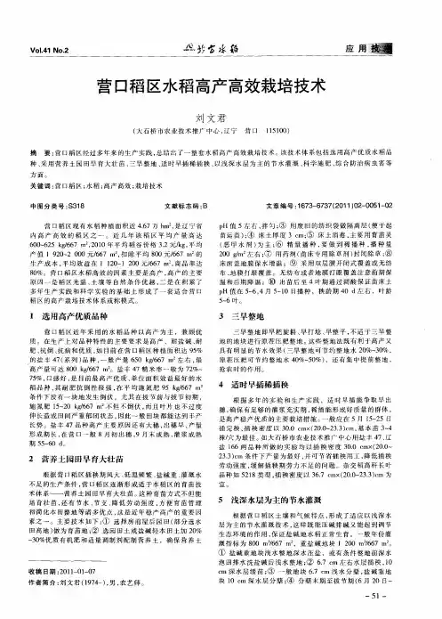 营口稻区水稻高产高效栽培技术