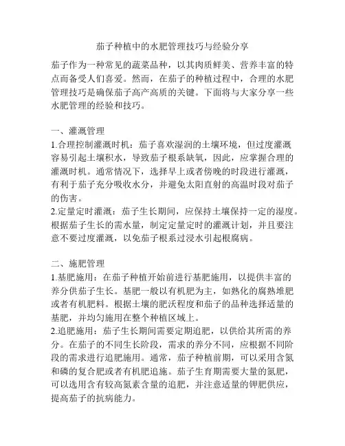 茄子种植中的水肥管理技巧与经验分享