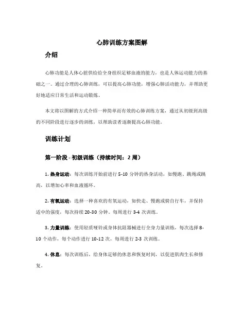 心肺训练方案图解