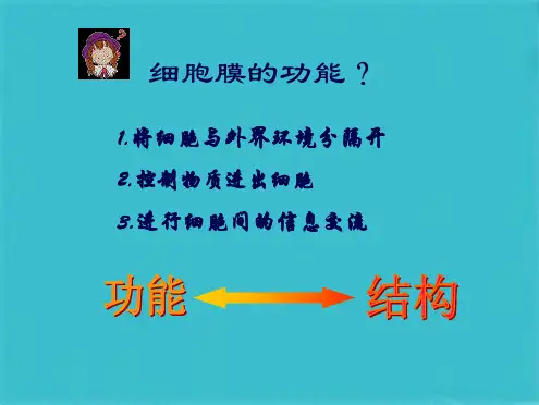 生物必修一 生物膜的流动镶嵌模型(共55张PPT)