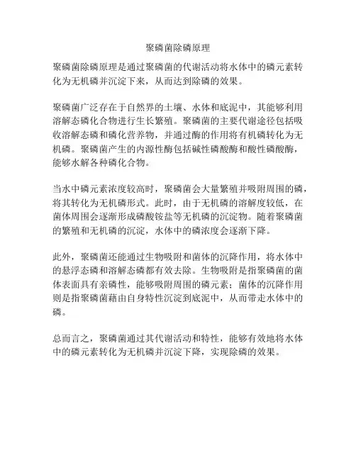 聚磷菌除磷原理