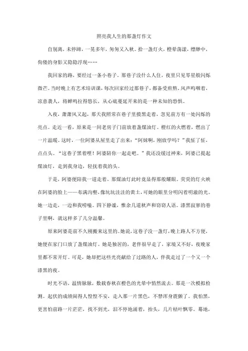 照亮我人生的那盏灯作文