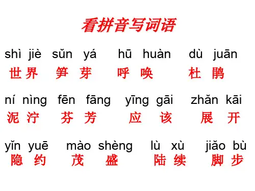 看拼音写词语