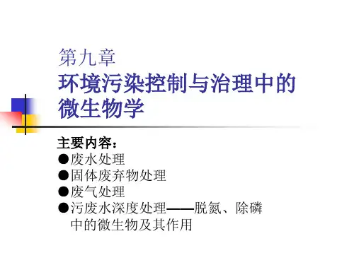 第三章-水环境污染控制与治理的生态工程及微生物学原理