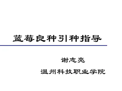 9蓝莓良种引种