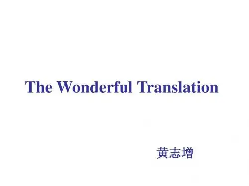 美女翻译官张璐