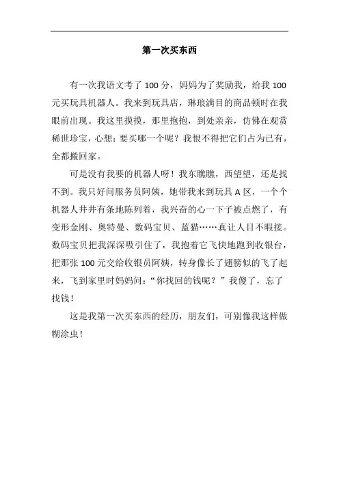 第一次自己采购作文