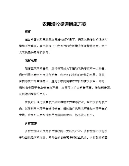 农民增收渠道措施方案