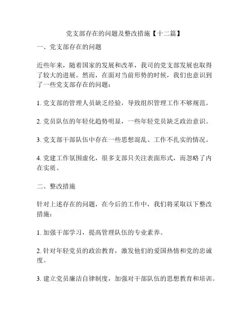 党支部存在的问题及整改措施【十二篇】