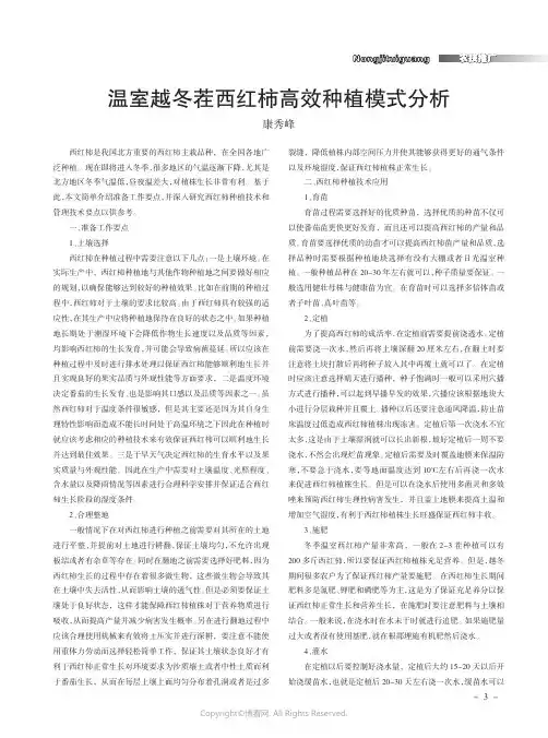 温室越冬茬西红柿高效种植模式分析