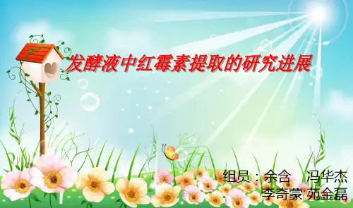 红霉素提纯