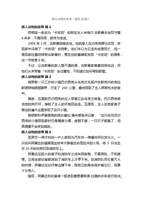 感人动物的故事（通用20篇）