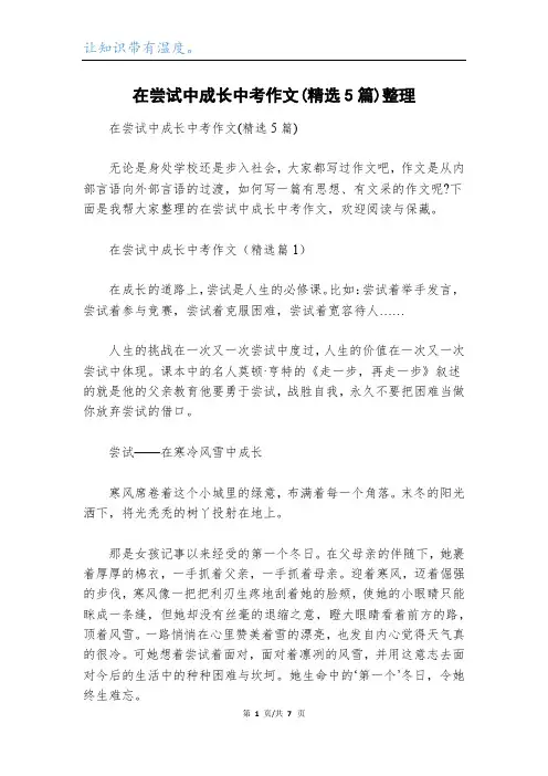 在尝试中成长中考作文(精选5篇)整理