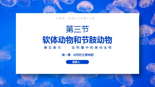人教版八年级生物上册软体动物和节肢动物