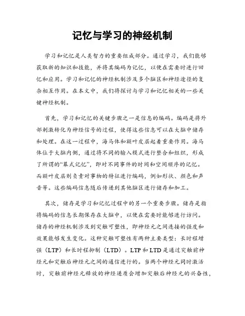 记忆与学习的神经机制