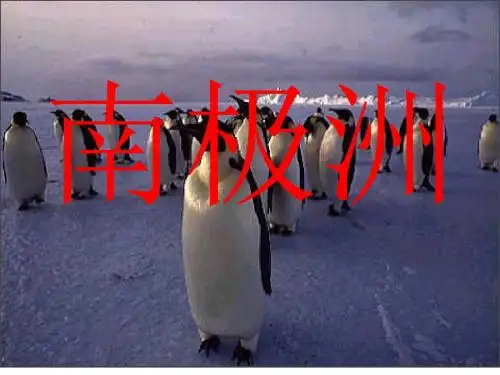 区域地理南极洲