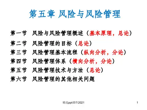 第五章 风险与风险管理PPT课件