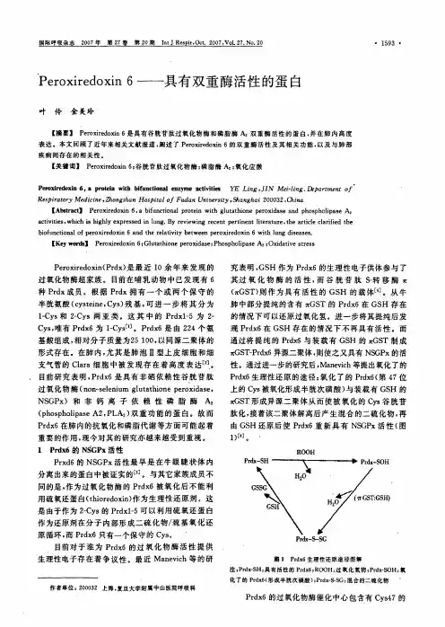 Peroxiredoxin_6——具有双重酶活性的蛋白