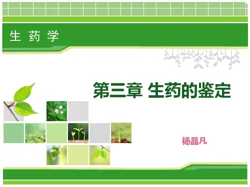 生药的鉴定