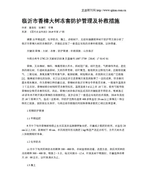 临沂市香樟大树冻害防护管理及补救措施