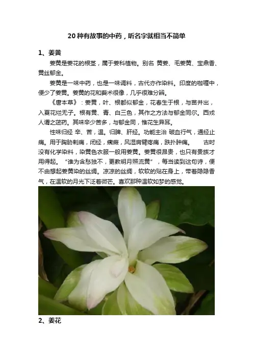 20种有故事的中药，听名字就相当不简单