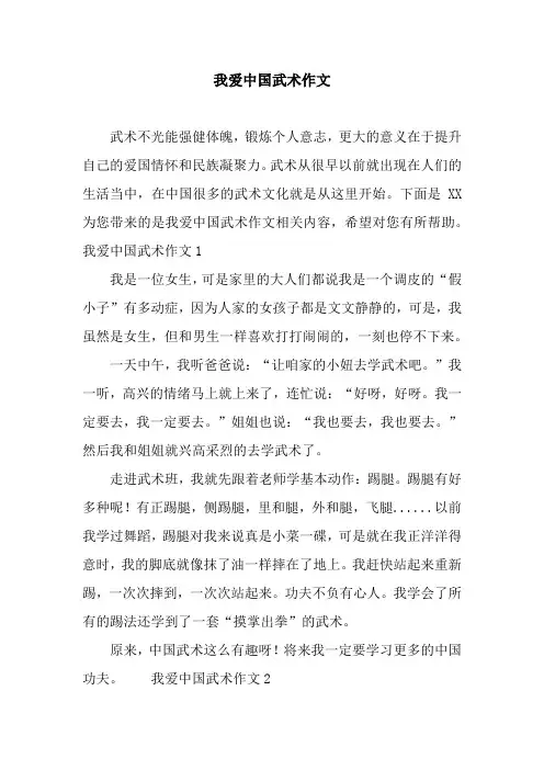 我爱中国武术作文