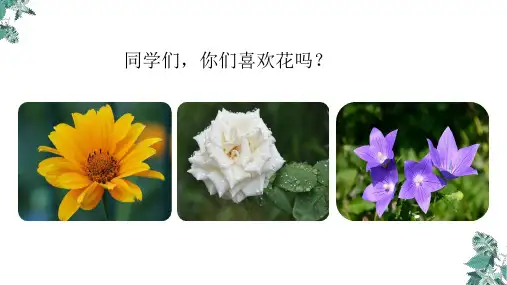 部编版花之歌课件完美版ppt