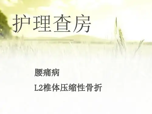 腰痛病--L2椎体压缩性骨折护理查房 PPT