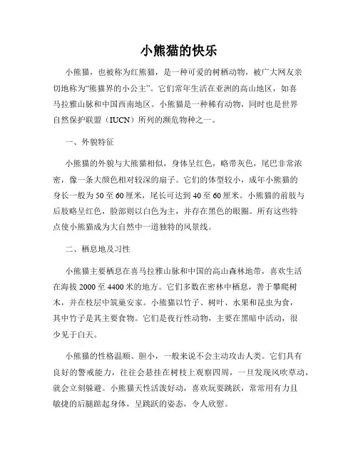 小熊猫的快乐