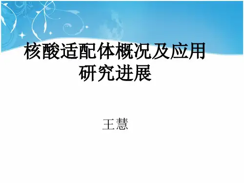适配体