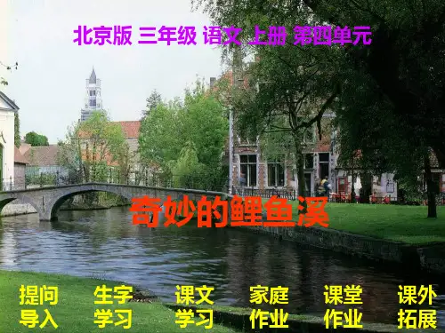 三年级语文奇妙的鲤鱼溪2