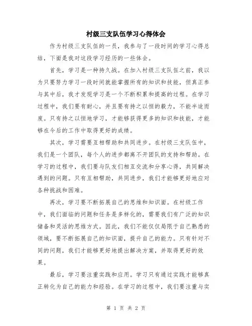 村级三支队伍学习心得体会