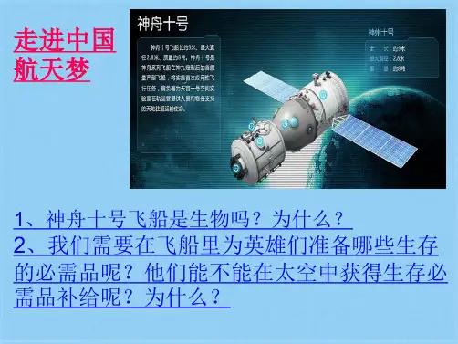 济南版 生物 七年级上册 第一章 第二节 生物的生活环境(共12张PPT)