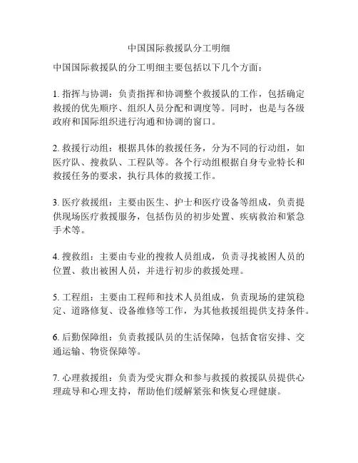 中国国际救援队分工明细