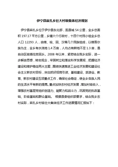 伊宁县麻扎乡壮大村级集体经济规划(新)