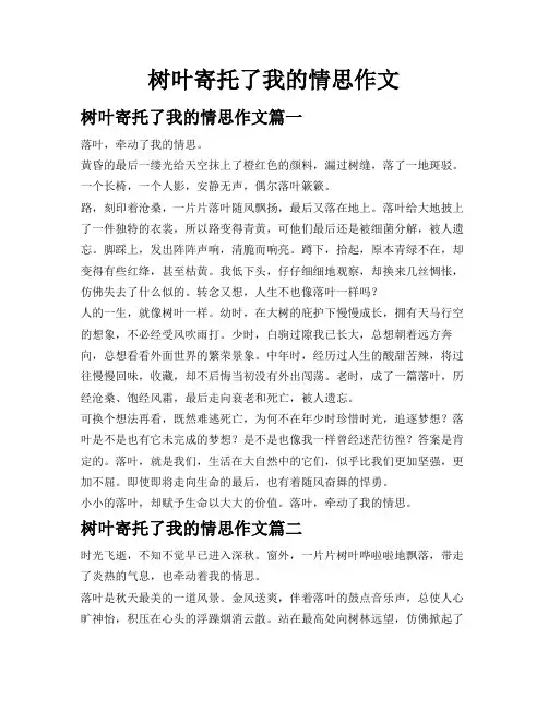 树叶寄托了我的情思作文
