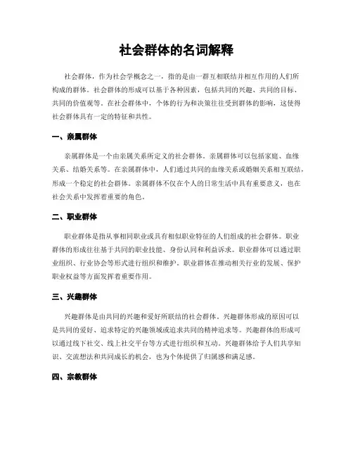 社会群体的名词解释