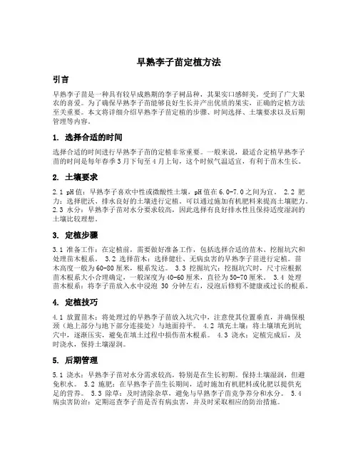 早熟李子苗定植方法