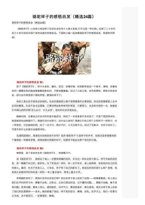骆驼祥子的感悟启发（精选24篇）