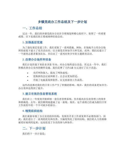乡镇党政办工作总结及下一步计划