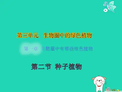 种子植物课件(人教版生物)