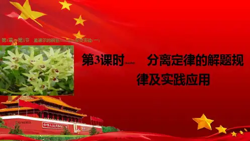 高中生物3分离定律的解题规律及实践应用课件高一生物课件