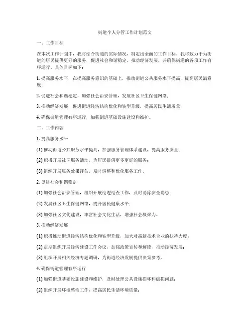 街道个人分管工作计划范文
