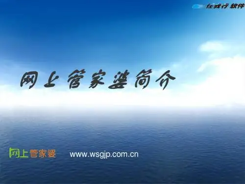 网上管家婆简介