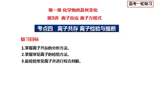 2024届高三化学高考备考一轮复习专题--离子共存离子检验与推断课件