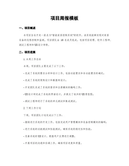 项目周报模板