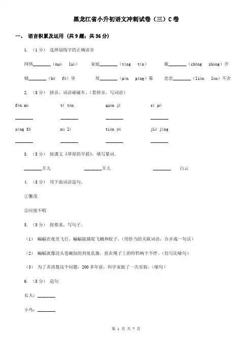 黑龙江省小升初语文冲刺试卷(三)C卷